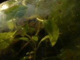 P1030610buggs6-11.jpg