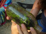P1030618buggs6-11.jpg