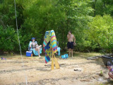 P1030630buggs6-11.jpg