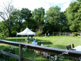 P1040809s-dempsy 6-12.jpg