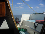 n1.jpg