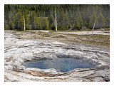 Fumarole and Encrusted  Trees