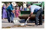 Shoveling horse s..t