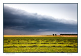 Gathering storm
