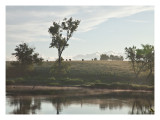 Quiet morning
