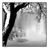 Ripples