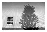 Quonset hut