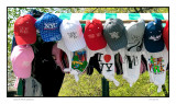 Central Park vendors hat selection