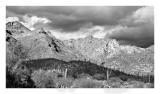 Lower Sabino  Canyon, Tucson