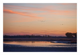 Daybreak,Quivira wetlands