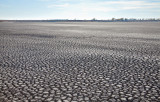 Effects from severe drought