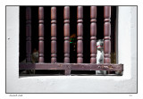 Guard Cat