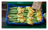 Zucchini with flowers attached