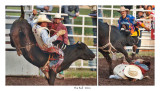 A cowboys rise and fall.