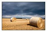 Wheat straw bales,-Smoky Hills, KS