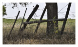 Rack and Ruin