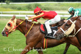 5868s.jpg (Molino)