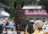 7196s.jpg (Ovambo Queen (GER))