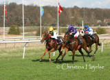 3848v.jpg (3-års Maiden 1400m)