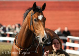 4186v.jpg (Runner Runner)