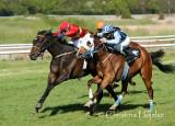 Klampenborg 2012-05-05 ()