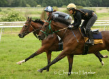 Klampenborg 2012-06-18 (Derby morgengalop)