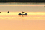 Ismarida lake, Rodopi South