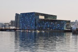 Harpa from the sea