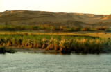 150.Nilo da Aswan.jpg