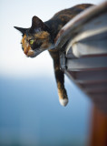 on watch aboard Watermark
