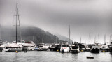 my home in the Harbour