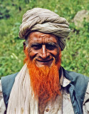 Red beard