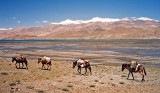 Tso Moriri, southern end