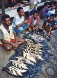 Fish, Wamena market