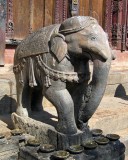 Elephant, Changu Narayan