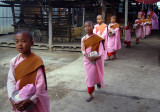 Young nuns