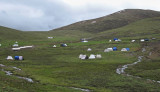 Yartsagumba camp