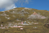 Prayer flags