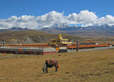 Tagong grasslands