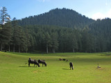 Khajjiar