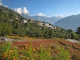 Kalpa