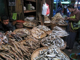 Dried fish