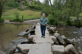 On the Tarr steps