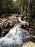Near the Basin
