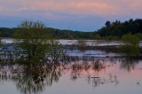 Marsh on the Sudbury river