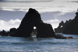 067-Punihuil, Chiloe, Chile.jpg