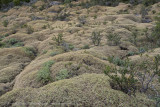 105-Hiking in Torres Del Paine NP.jpg