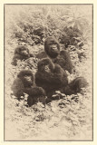 007-Sabinyo Family