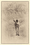 015-Wild Dog Walking Down Road