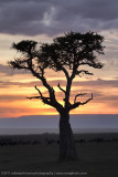 092-African Sunrise.jpg